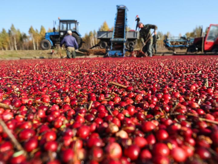 Christie's Mill Inn and Spa | Port Severn, Ontario | 2