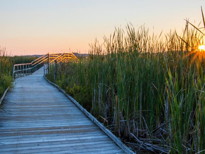 Christie's Mill Inn and Spa | Port Severn, Ontario | 2